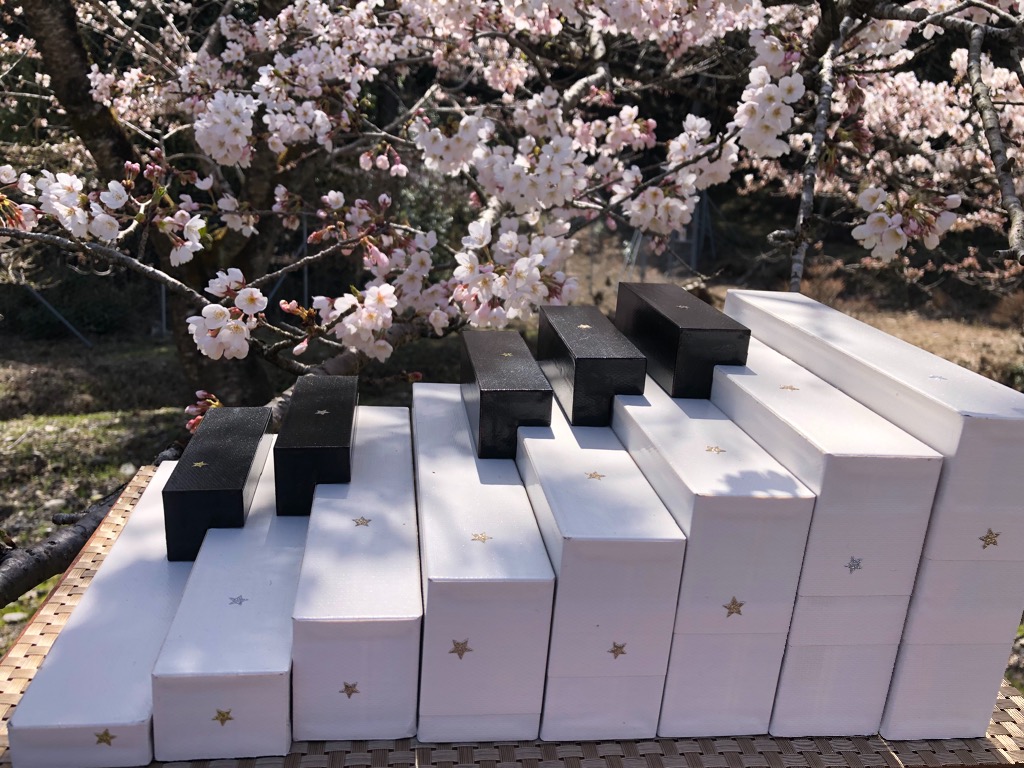桜と『どれみの階段』